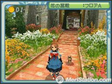 Riz Zoawd, Impresiones