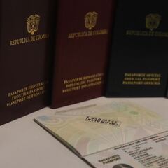 Pasaporte para menores de edad: ¿por qué fue suspendida la renovación del documento?