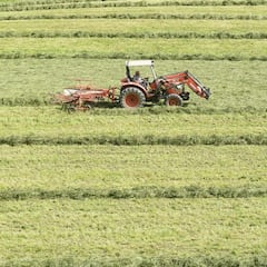 Los productos de McDonalds que se cultivan en las granjas de Bill Gates