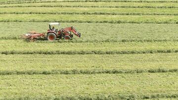 Los productos de McDonalds que se cultivan en las granjas de Bill Gates