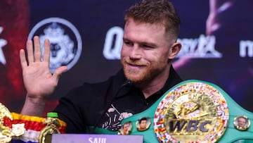 Durante la Copa del Mundo de Qatar 2022, Argentina venció a México y una interacción en el vestido provocó la molestia de Canelo.