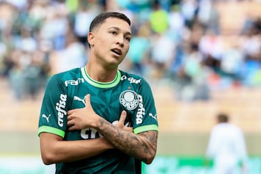 Thalys: “Me queda tiempo en Palmeiras”