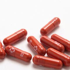When will the pill against covid-19 be approved for use?