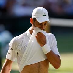 El Ayuntamiento de Marbella multa de nuevo a Djokovic por unas obras ilegales