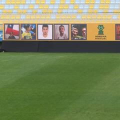 ¿Cómo funciona Hincha Virtual, la app que permite apoyar a los clubes en la cancha?