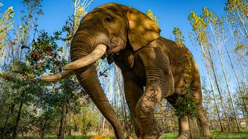 One shop customer didn’t pay for their items, leaving the owner with no choice but to let them go.