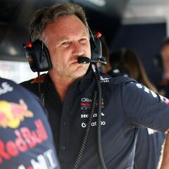 “La F1 está mejor sin Horner”