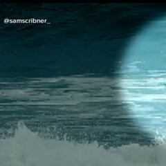 Graban el ataque de un tiburón a un surfista de 16 años