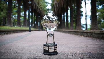 Copa Sudamericana 2022: qu¨¦ equipos clasifican y cu¨¢ndo se sabr¨¢n en cada pa¨ªs