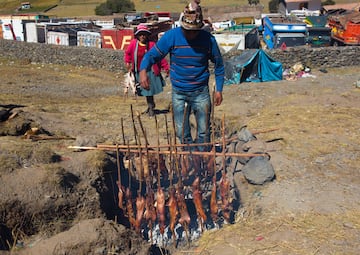 Es una especie de roedor andina y se sirve entero en el plato, puede adquirirse en las calles a modo de brocheta. Si carne es baja en grasa y rica en proteínas, el cuy es una parte esencial de la dieta en países como Perú, Bolivia, y Ecuador.