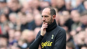 Christian Stellini apologises for Spurs' performance