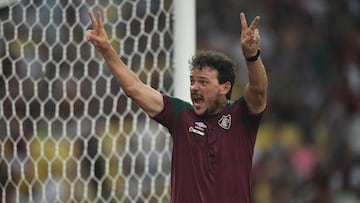 Fluminense conf¨ªa en Fernando Diniz