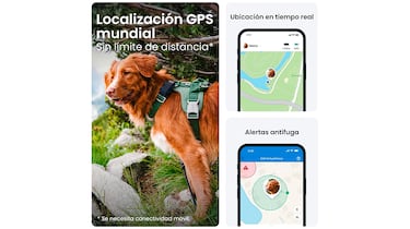 Localiza siempre a tu mascota con este collar para perros con GPS