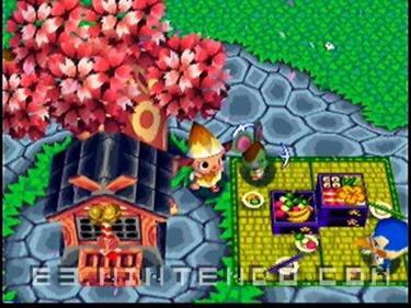 Animal Forest Plus (GameCube)