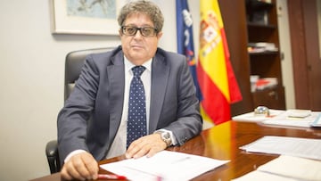 Jos&eacute; Luis Terreros, director de la AEPSAD.