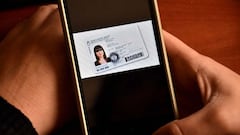 Elecciones PASO 2021: ¿se puede votar con DNI digital y qué documentos valen?