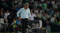 Pellegrini, ante la Real.