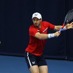 Andy Murray handed Australian Open wildcard