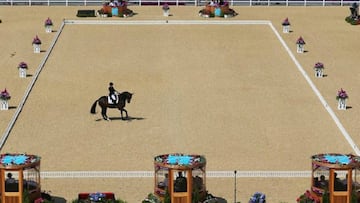 El Comité Olímpico de Chile confirmó la marginación por dopaje de Mauricio González Calderon, deportista de ecuestre.