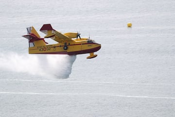 Es un avin anfibio canadiense dise?ado para la extincin de incendios forestales, con capacidad para transportar hasta 5.346 litros de agua o retardante qumico. Espa?a opera 15 de estas aeronaves, todas en servicio activo, bajo la gestin del Ministerio para la Transicin Ecolgica y el Reto Demogrfico (MITECO), y operadas por el Ejrcito del Aire. 
