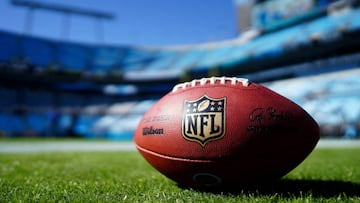El comisionado Roger Goodell anunció la cancelación de la Reunión Anual de la NFL donde se discuten reglas, estatutos y otros temas relacionados.