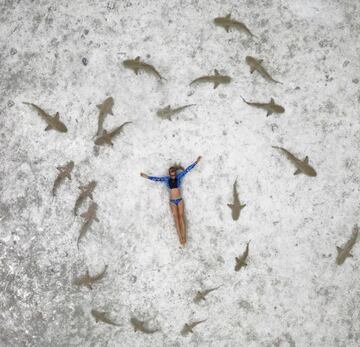 Nadar con cualquier tipo de tiburón es increíble. Ninguno se alimenta de personas y si sabes como hacerlo, como en One Ocean Diving, la experiencia es espectacular, dando lugar a fotos como esta… 