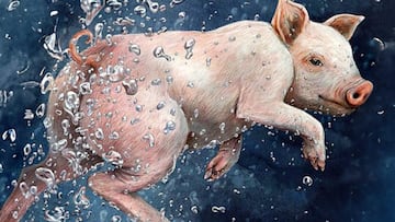 experimento ciencia biologia respiracion ano cerdo mamiferos