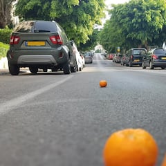 Cuidado si ves naranjas en la carretera: mantén la calma y haz esto inmediatamente