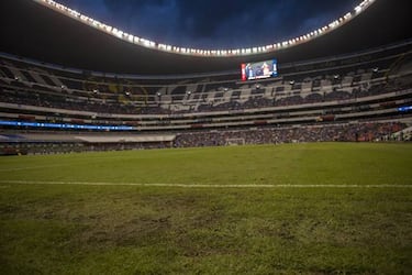 Pasto híbrido del Azteca sólo contó con 40 días para su instalación