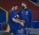 Pau Gasol será presentado este jueves como jugador del Barça