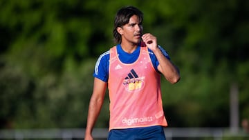 Colo Colo, lejos de cerrar el fichaje de Moreno Martins