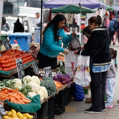 Bono Canasta Básica: cómo consultar con mi RUT si lo cobro en diciembre