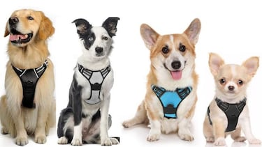 Pasea a tu mascota con la pechera para perros más vendida