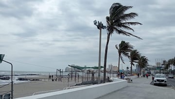 Clima en Veracruz hoy 10 de enero 2025 | Bajan las temperaturas y amanecerá a 5°C