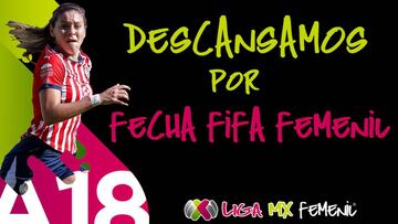 La liga profesional del f&uacute;tbol femenil mexicano tendr&aacute; jornada de descanso, ya que se jugar&aacute;n los partidos que definir&aacute;n los &uacute;ltimos dos boletos a la Copa del Mundo Femenina de Francia.