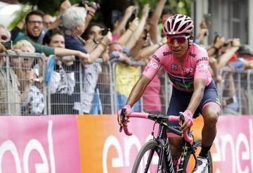 Quintana in the pink. Giro d'Italia