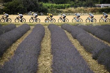 El británico, Chris Froome, el francés, Romain Bardet, pasan por un campo de lavanda durante la 19ª etapa del Tour de Francia de 2017.