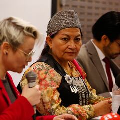 La dura respuesta de Elisa Loncon ante dudas de su trayectoria académica: acusa persecución y escarnio público