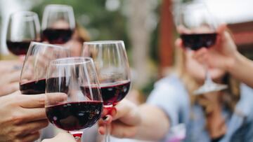 Un estudio explica por qu¨¦ el vino tinto da dolor de cabeza