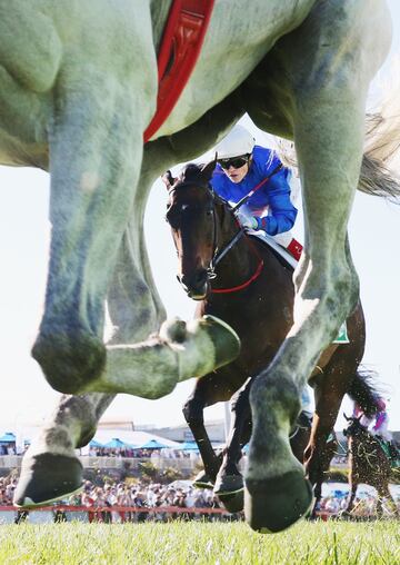 Preciosa imagen del jockey Craig Williams durante la Copa Cranbourne que se disputa en Australia.