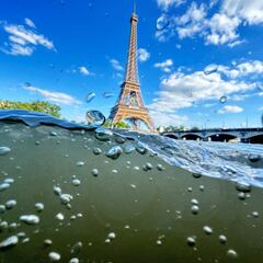 Has the river Seine’s water quality improved just in time for the Paris Games?