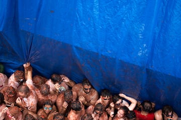 Las mejores im¨¢genes de La Tomatina de Bu?ol
