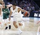 Campazzo es el líder del Madrid en la racha de ocho victorias