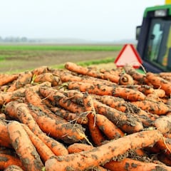 Muere un joven sepultado por zanahorias en Segovia