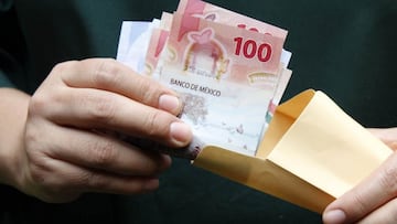 ¿Cuándo inicia el pago de utilidades en México?: fechas clave y beneficiarios en 2025