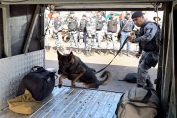 Tres meses antes de la Copa del Mundo de la FIFA, la Policía Militar de Brasilia prepara a los perros que trabajarán en la seguridad del evento, en Brasilia. 23 animales están siendo entrenados para detectar explosivos, drogas y armas. Los perros realizarán entrenamiento en autobuses similares a los utilizados por las delegaciones de los países participantes en Brasil 2014.