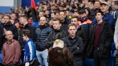 Liverpool retaliate to take the spoils with moot spot-kick