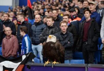 The Crystal Palace eagle got a bird's eye view of the action at Selhurst Park.