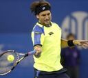Mayer derrota a David Ferrer