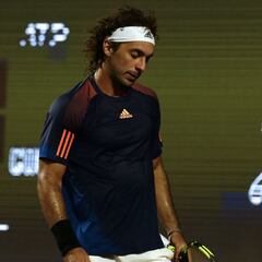 Lama, traga veneno y sigue